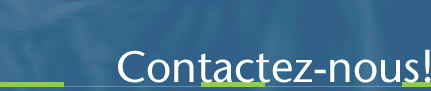 Contactez-nous!