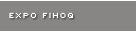 Notre EXPO FIHOQ de novembre